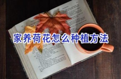 家养荷花怎么种植方法