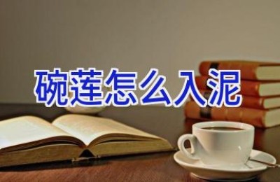 碗莲怎么入泥