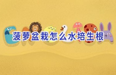 菠萝盆栽怎么水培生根
