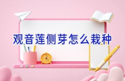 观音莲侧芽怎么栽种