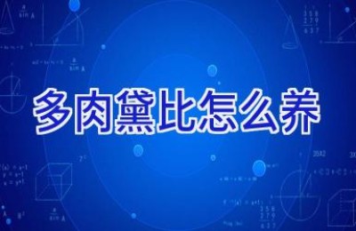 多肉黛比怎么养