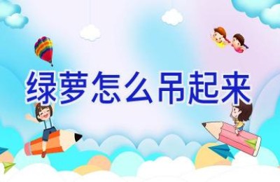 绿萝怎么吊起来