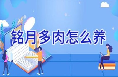 铭月多肉怎么养