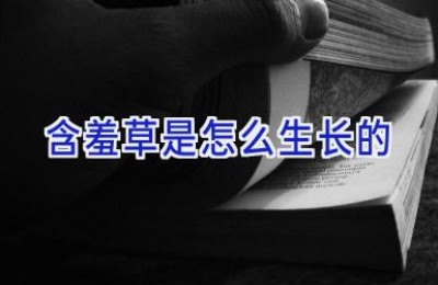 含羞草是怎么生长的