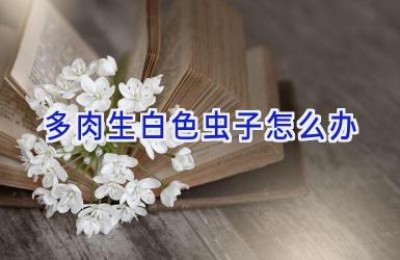 多肉生白色虫子怎么办