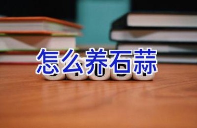 怎么养石蒜