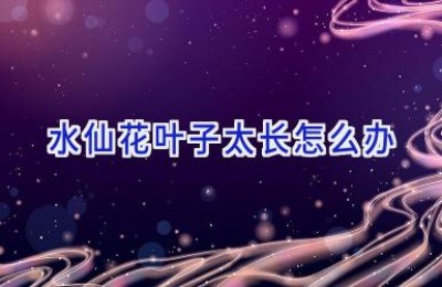 水仙花叶子太长怎么办