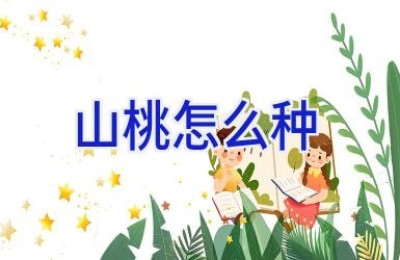 山桃怎么种