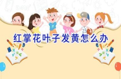 红掌花叶子发黄怎么办