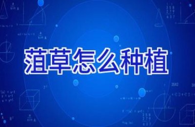 菹草怎么种植