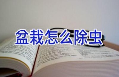 盆栽怎么除虫