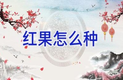 红果怎么种