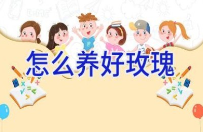 怎么养好玫瑰
