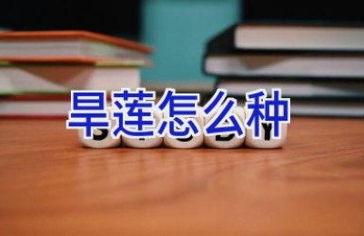 旱莲怎么种