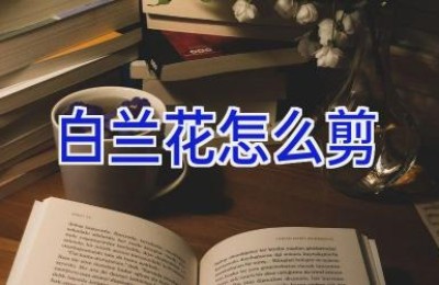 白兰花怎么剪