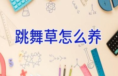 跳舞草怎么养