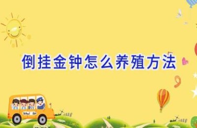 倒挂金钟怎么养殖方法