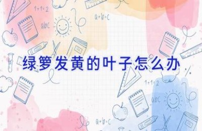 绿箩发黄的叶子怎么办