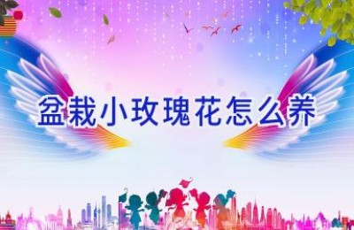 盆栽小玫瑰花怎么养