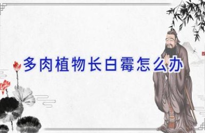 多肉植物长白霉怎么办