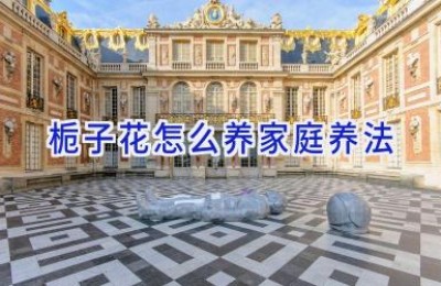 栀子花怎么养家庭养法