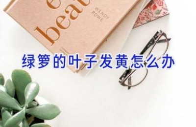 绿箩的叶子发黄怎么办