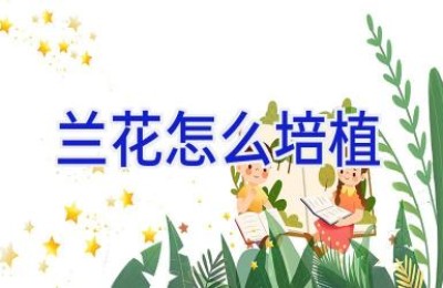 兰花怎么培植
