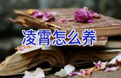 凌霄怎么养