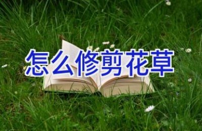 怎么修剪花草