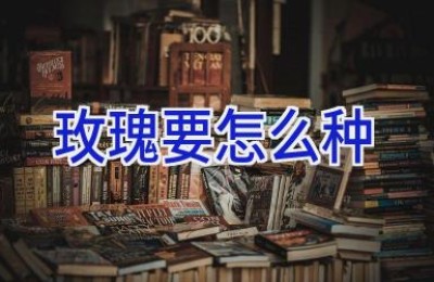玫瑰要怎么种