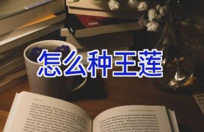 怎么种王莲