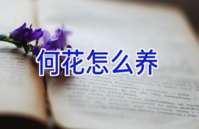 何花怎么养