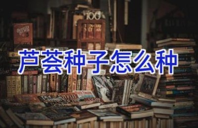 芦荟种子怎么种