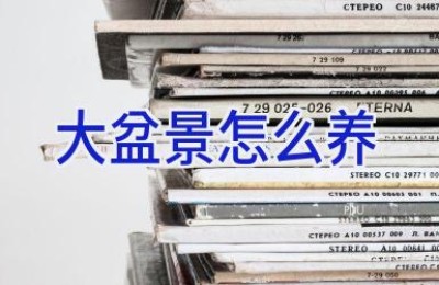 大盆景怎么养