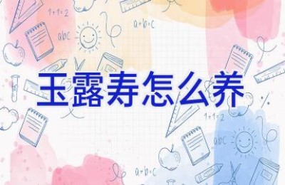 玉露寿怎么养