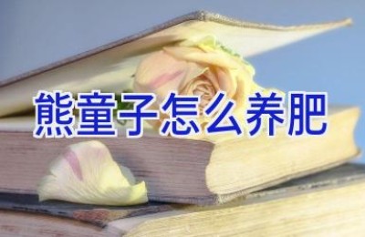 熊童子怎么养肥