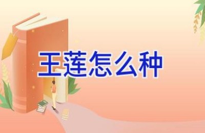 王莲怎么种