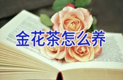 金花茶怎么养