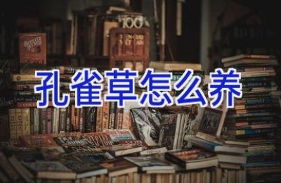 孔雀草怎么养
