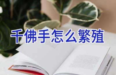 千佛手怎么繁殖