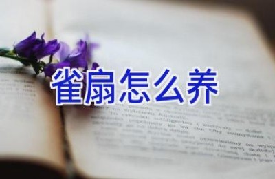 雀扇怎么养