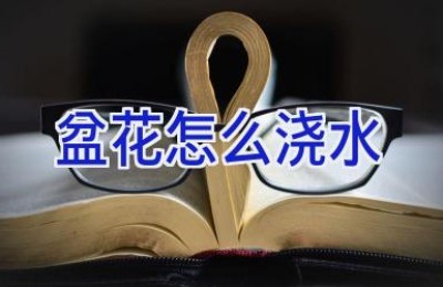 盆花怎么浇水