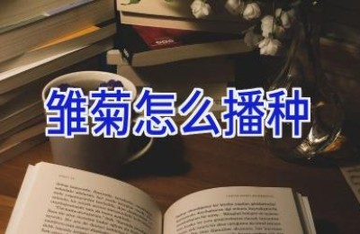 雏菊怎么播种