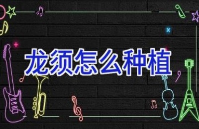 龙须怎么种植