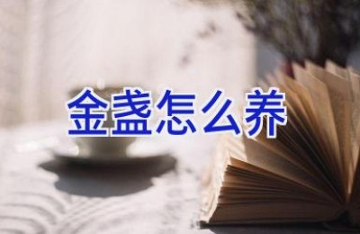 金盏怎么养