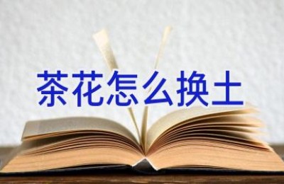 茶花怎么换土