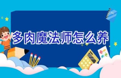 多肉魔法师怎么养