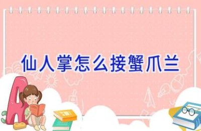仙人掌怎么接蟹爪兰