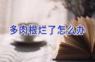 多肉根烂了怎么办