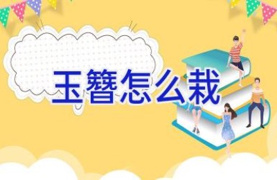玉簪怎么栽